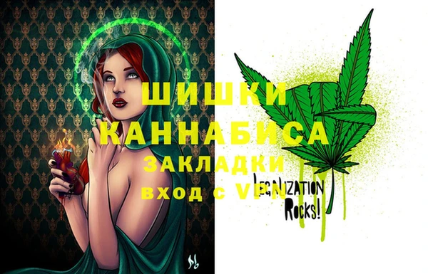 метадон Няндома