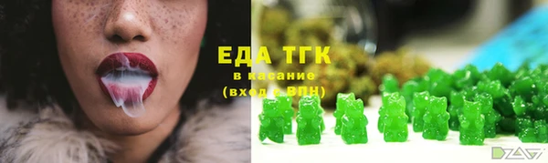 прущие грибы Осташков