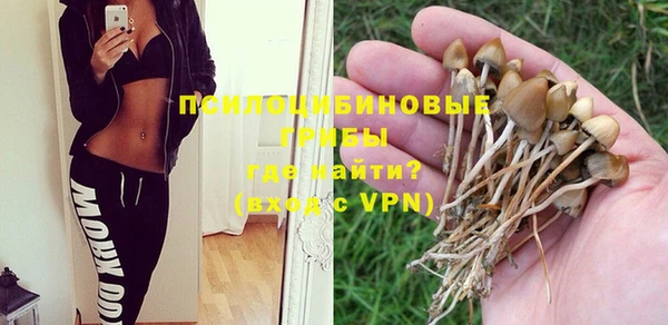 Альфа ПВП Нягань