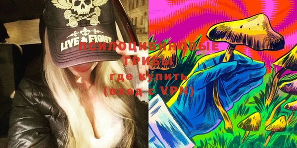 прущие грибы Осташков
