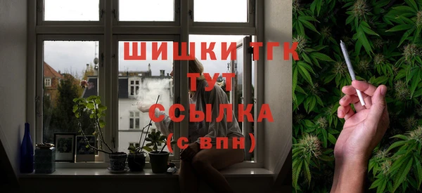 прущие грибы Осташков