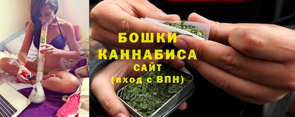 метадон Няндома